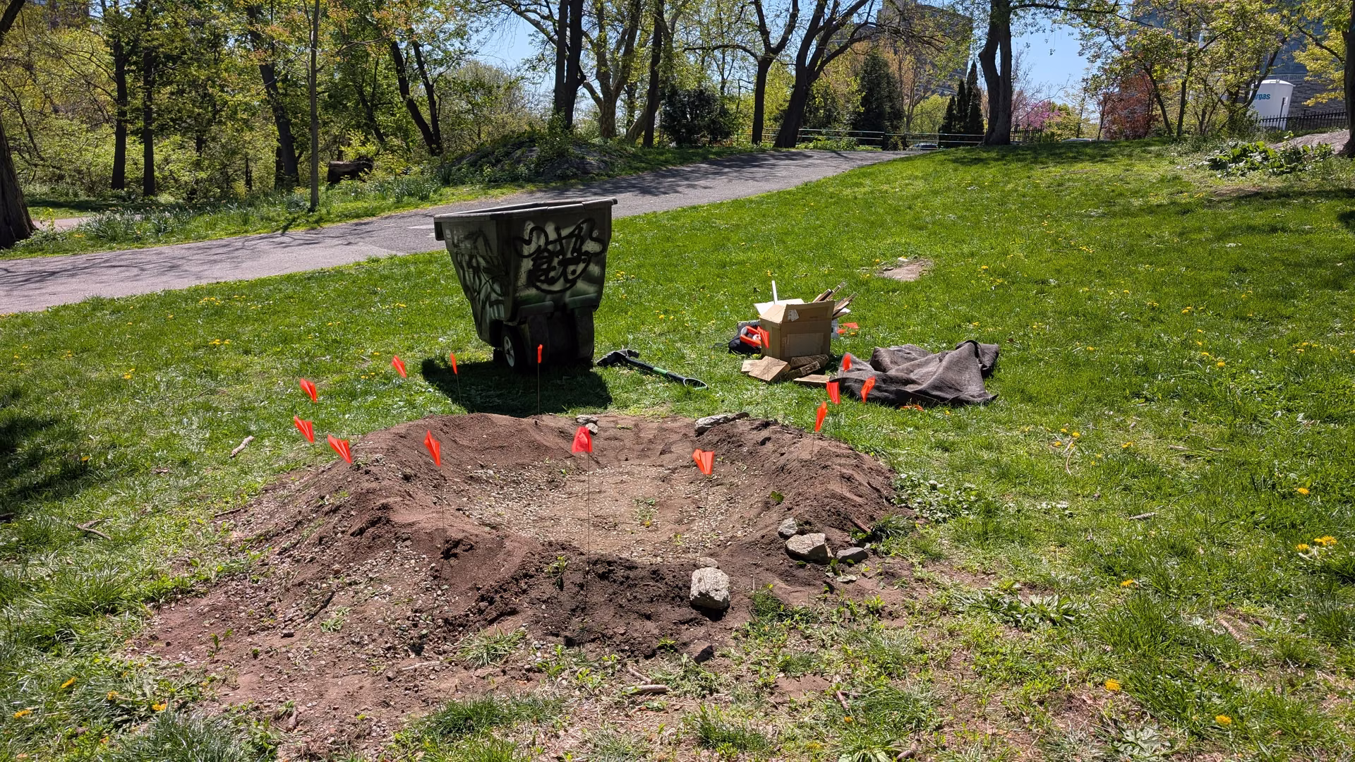 A dug mound of bare soil marked with orange flags on a park lawn