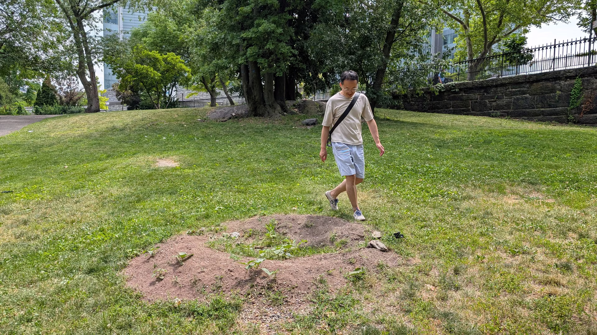 The mound in early summer, held bare against the mown lawn