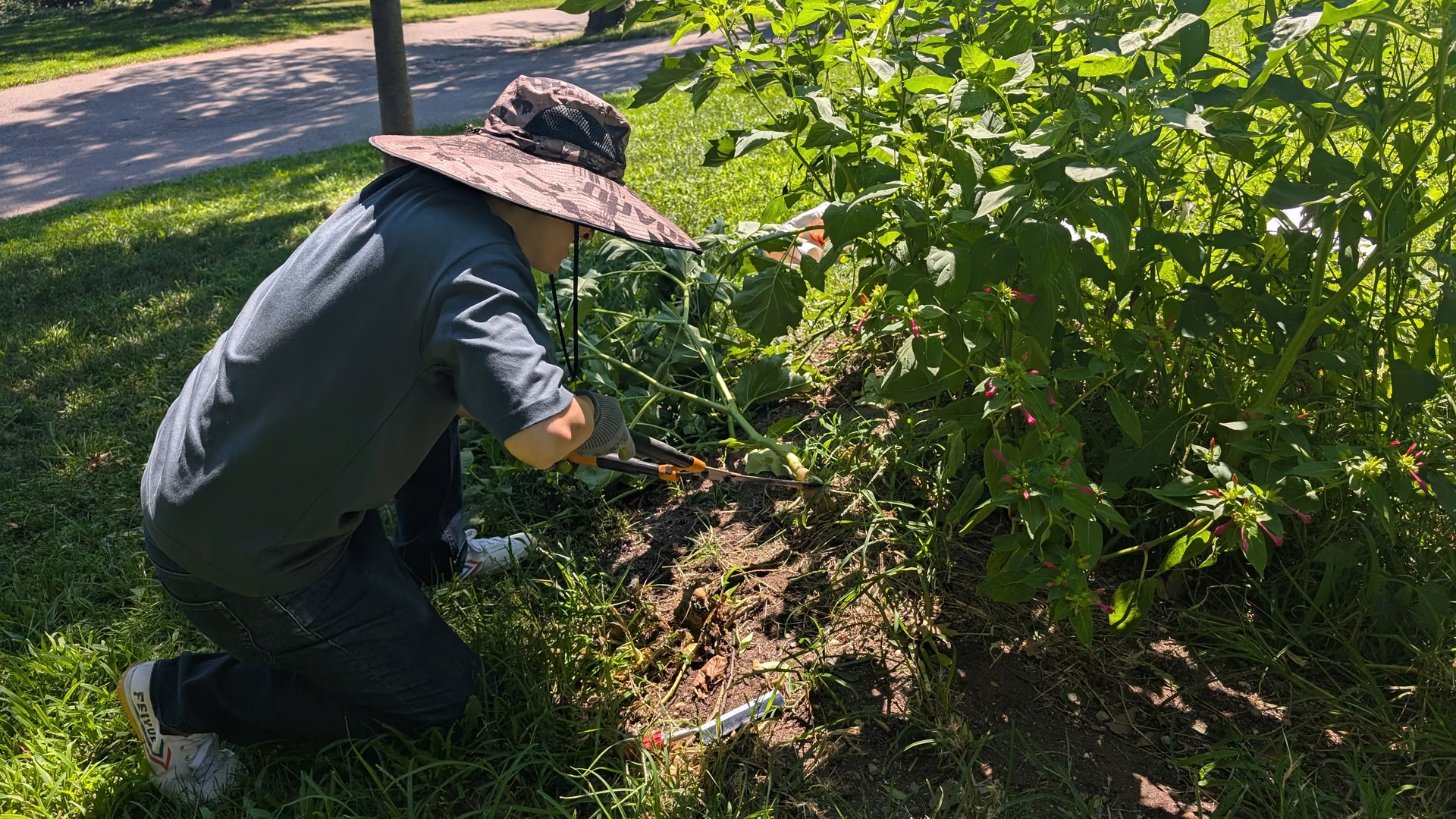 Cutting specimens at the edge of the mound