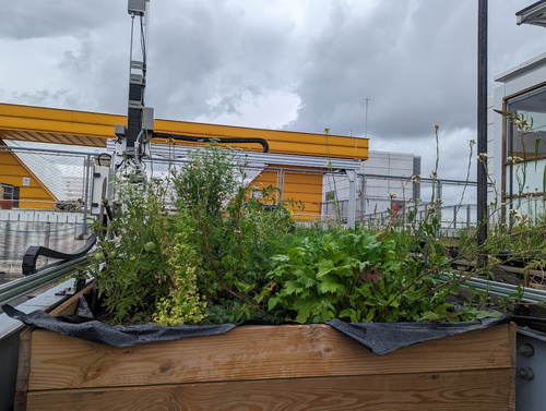 Field documentation