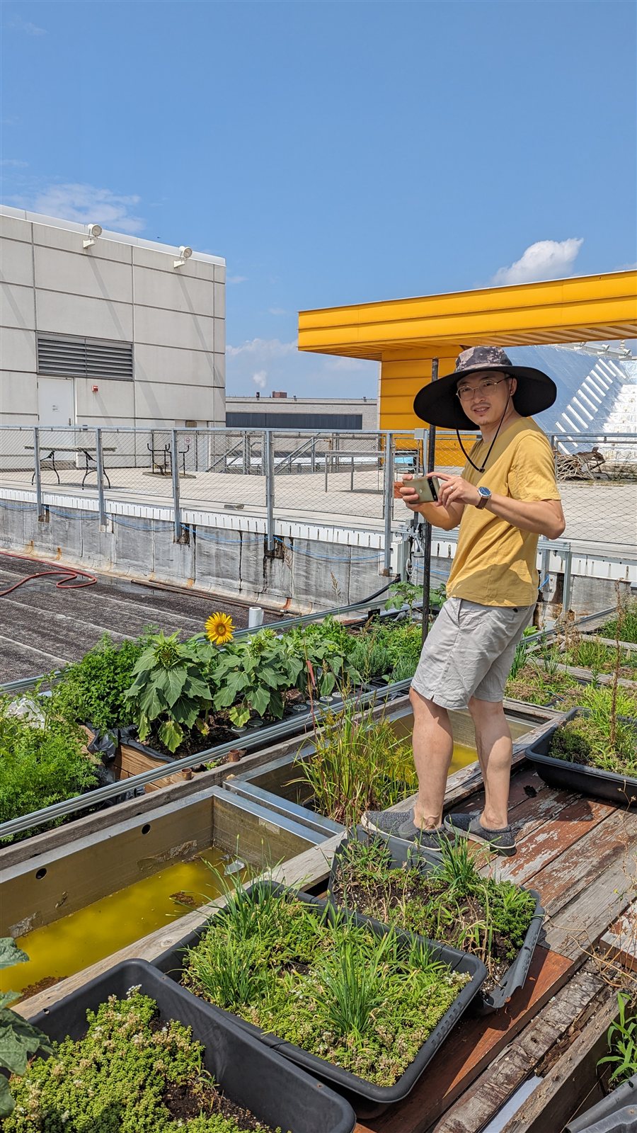 Field documentation