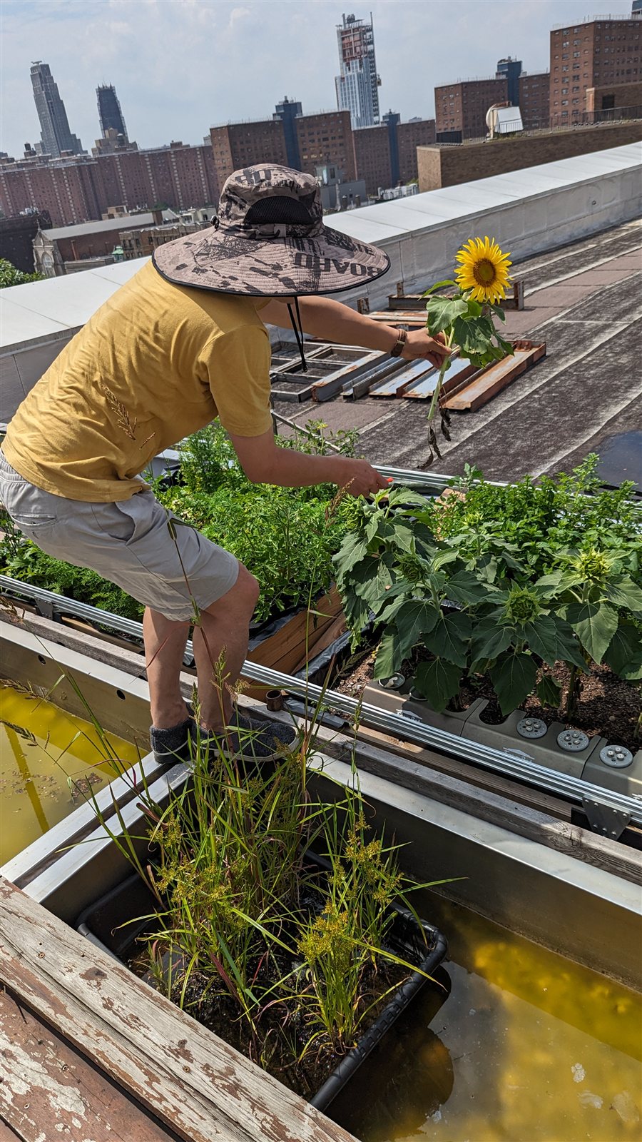 Field documentation