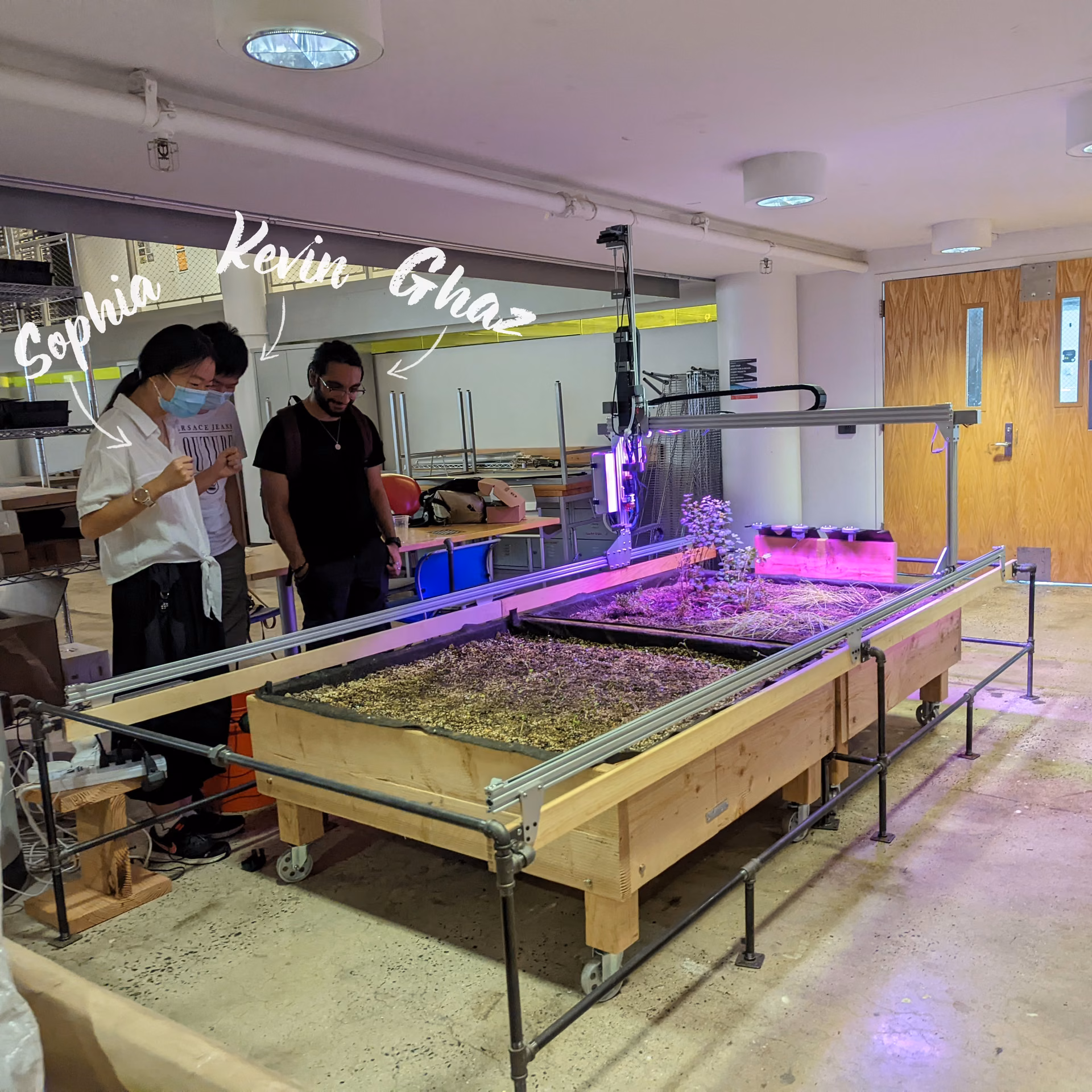 The indoor lab bed under grow lights