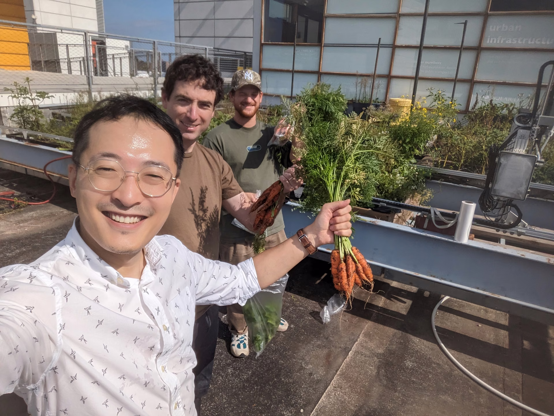 The team with a harvest of carrots