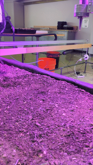 Robot planting seeds