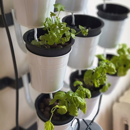 Hydroponic