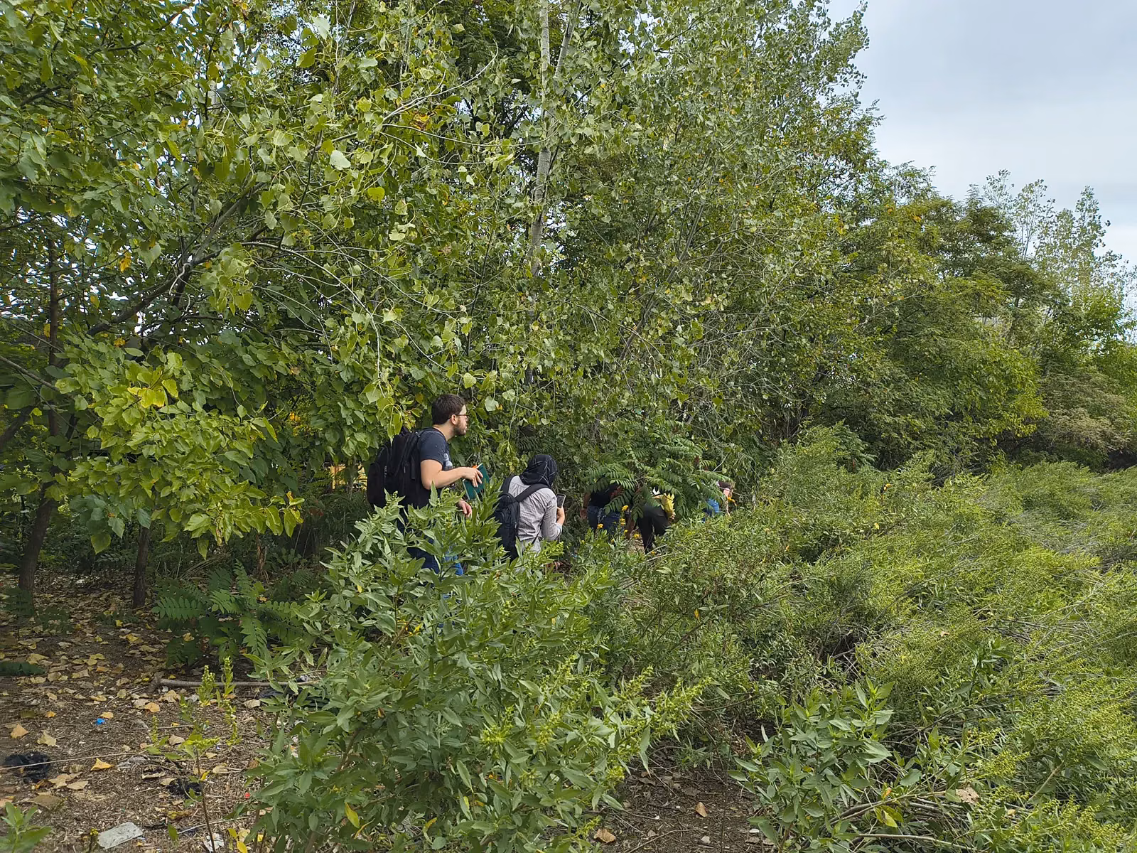 Students pushing through marsh thicket
