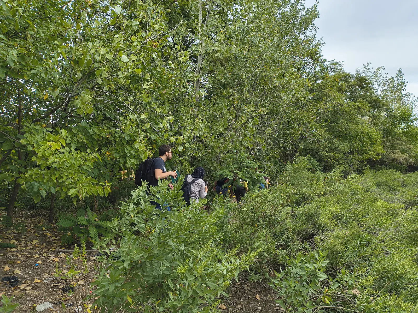 Students pushing through marsh thicket