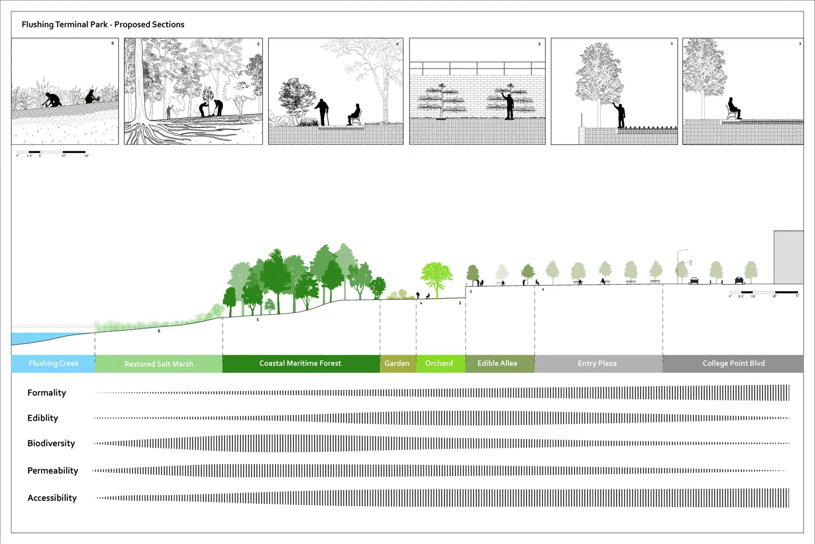Sabastian Gatton, proposed sections and matrix