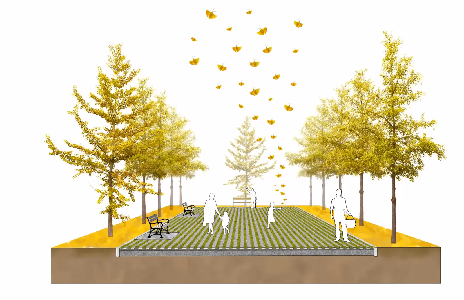 Sabastian Gatton, experiential drawing of a planted allée