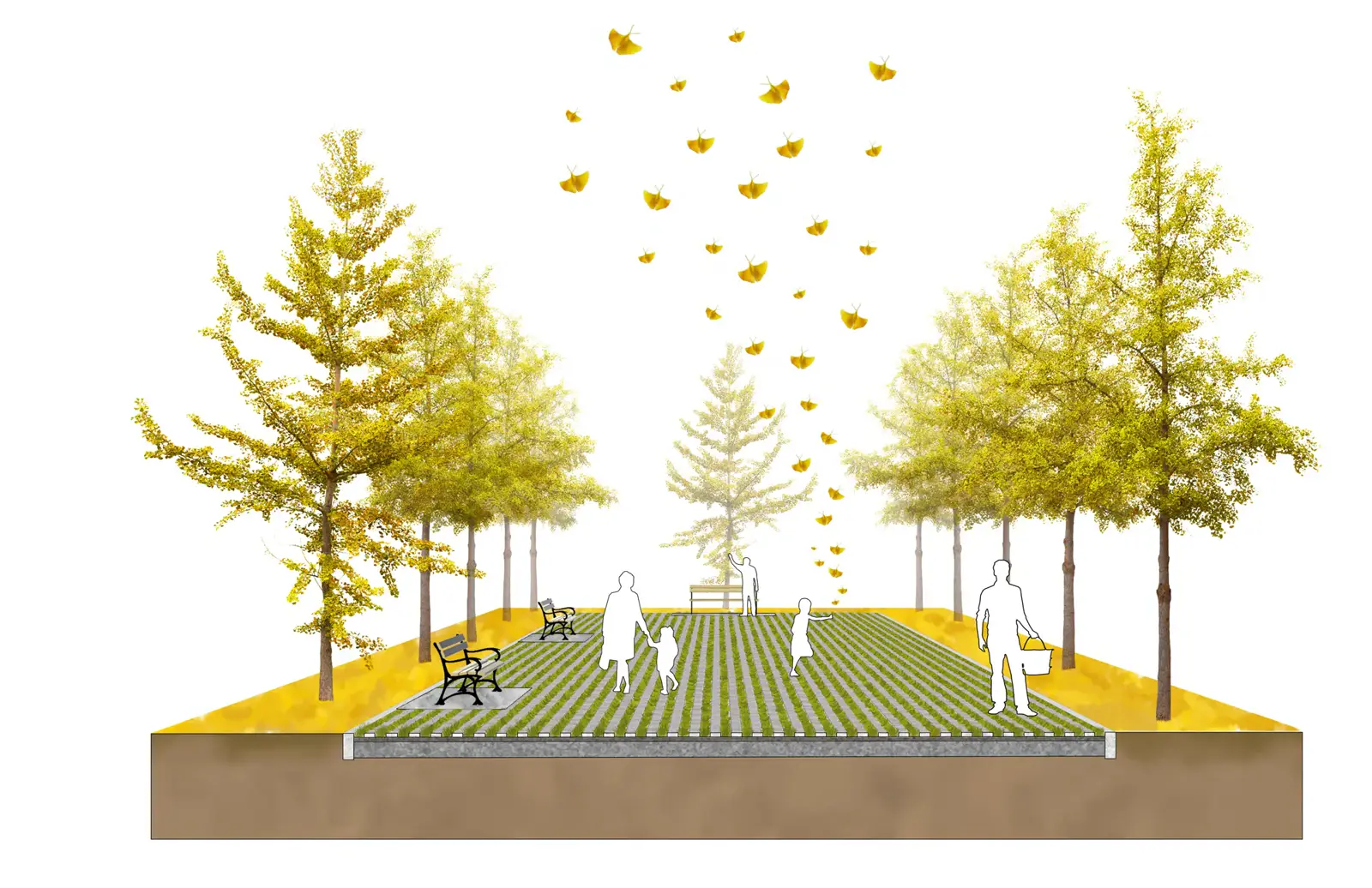 Sabastian Gatton, experiential drawing of a planted allée
