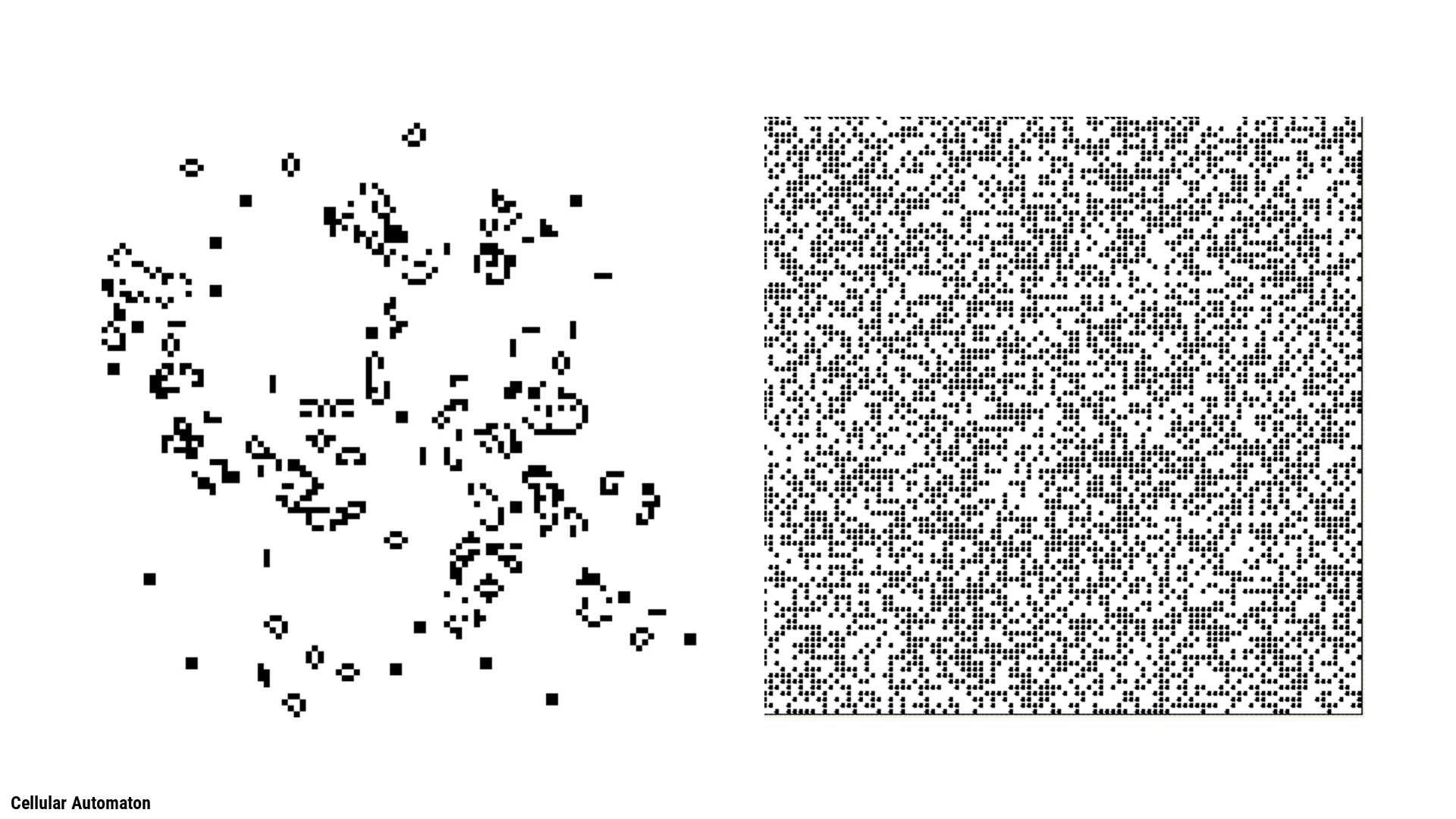 Slide 12