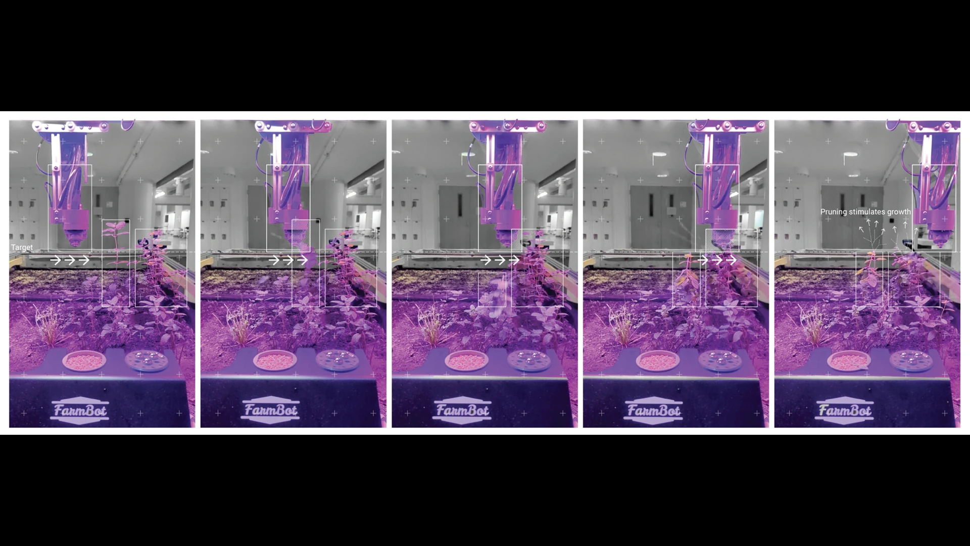 Slide 10
