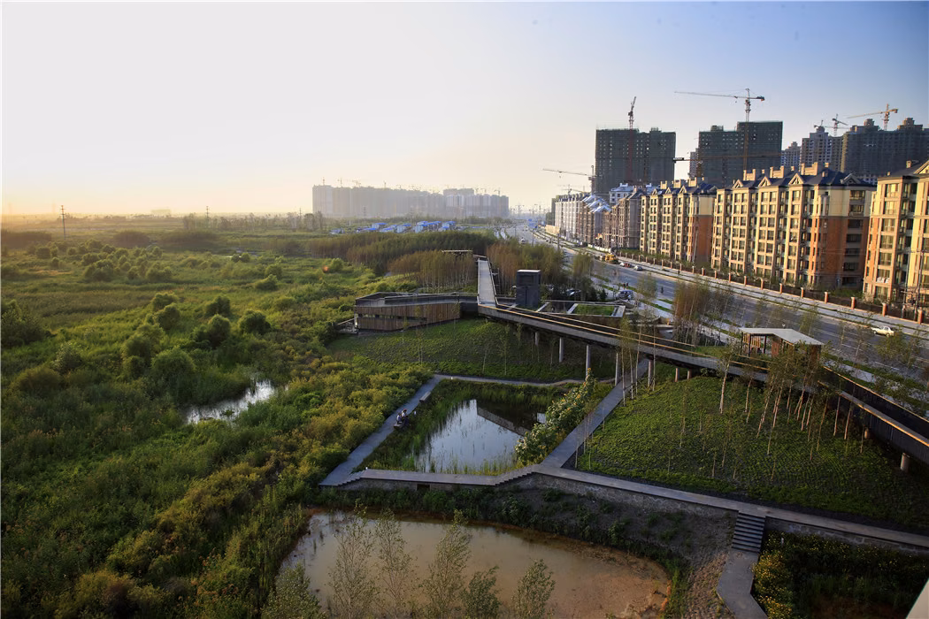 Kongjian Yu / Turenscape, Harbin Qunli Stormwater Park