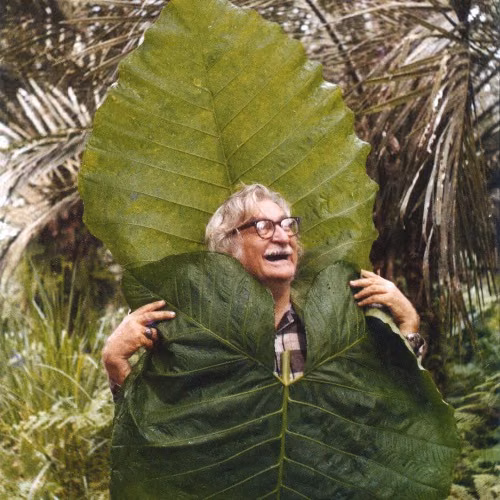 Roberto Burle Marx, Mineral Roof Garden, Banco Safra headquarters, São Paulo, 1983