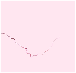 Extracted stream network