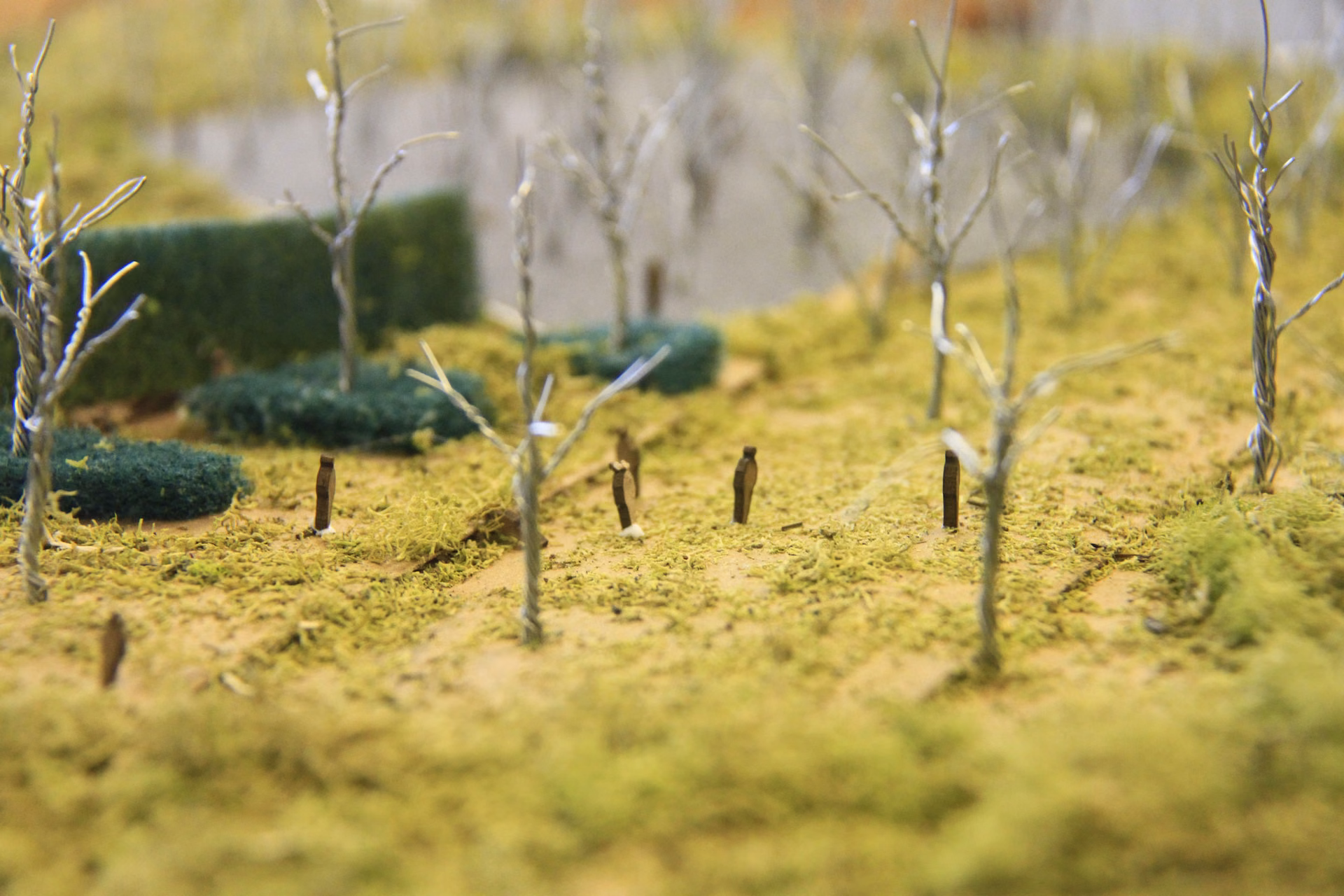 Rough working study model