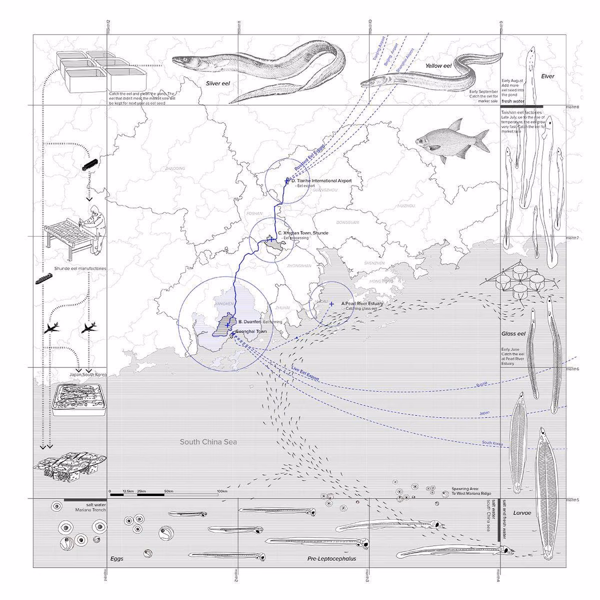 Student drawing: circular composite analysis of a contested territory